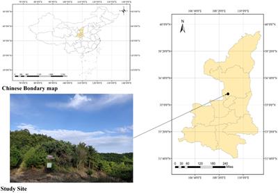 Soil temperature, microbial biomass and enzyme activity are the critical factors affecting soil respiration in different soil layers in Ziwuling Mountains, China